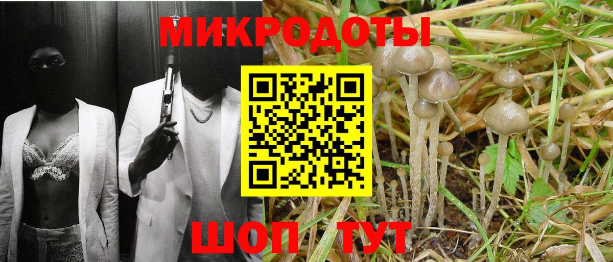 Галлюциногенные грибы Cubensis  Вход с VPN  Аргун 